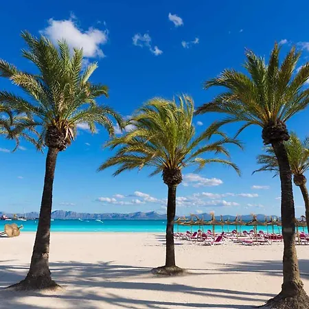 Xara Torres, At The Of Alcudia *